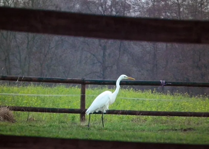 Landblick Apartment Ludinghausen