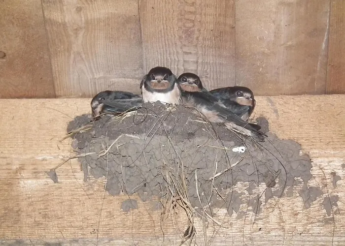 Landblick Apartment *