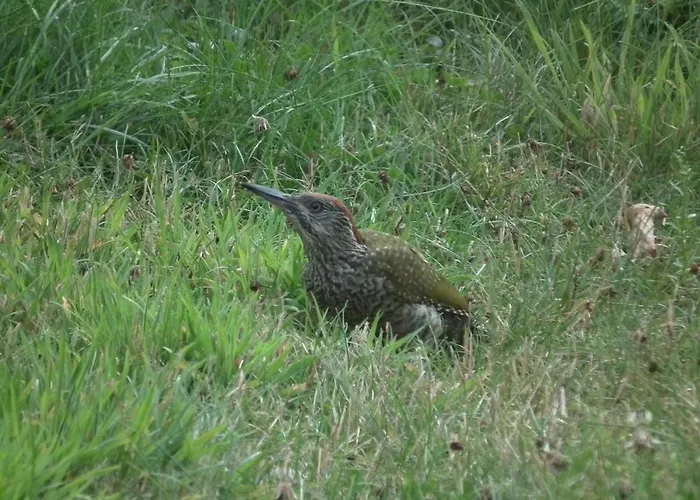 Landblick Apartment Ludinghausen