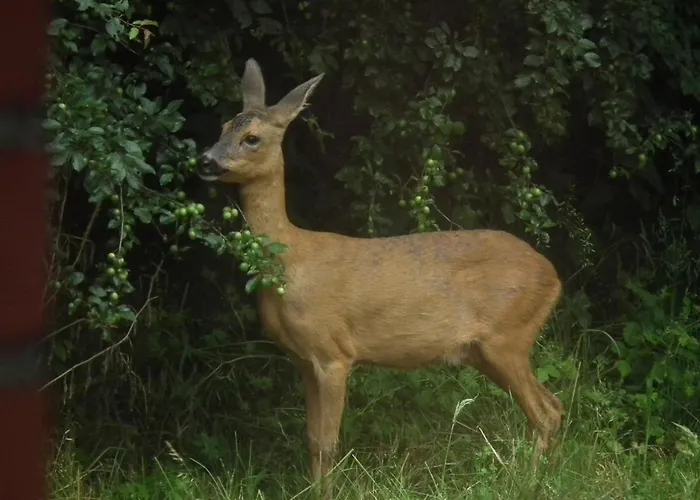 Landblick Apartment *